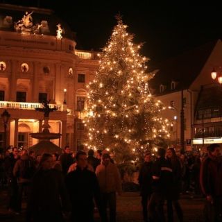 Tour del mercatino di Natale di Bratislava con una guida locale