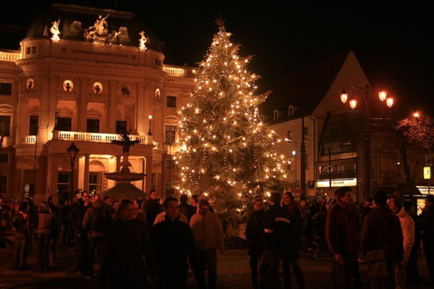 Bratislava Christmas Market Tour with A Local GuideTour in English/German