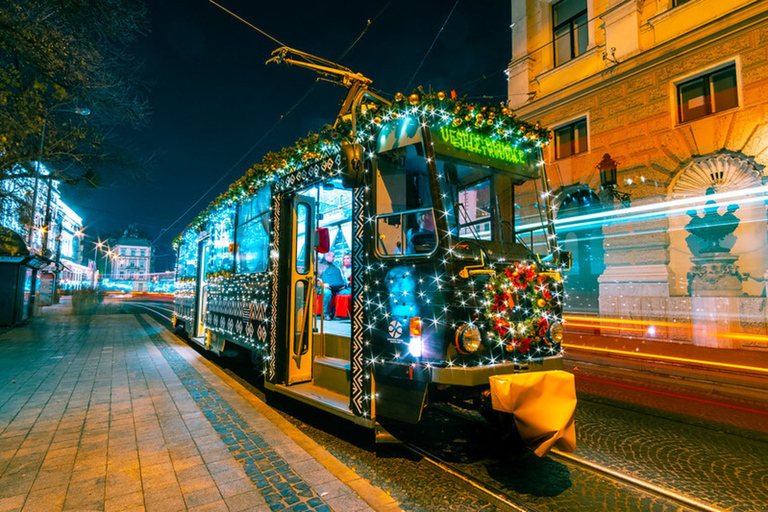 Bratislava Christmas Market Tour with A Local GuideTour in English/German