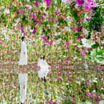 Tokyo: biglietto d'ingresso al museo d'arte digitale di TOKYO del teamLab Planets