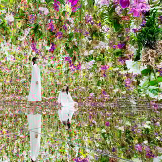 teamLab Planets TOKYO: Digital Art Museum Entrance Ticket