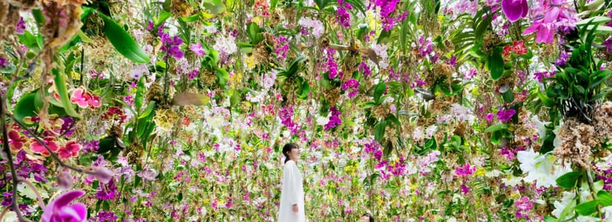 Tokyo : billet d'entrée au musée d'art numérique teamLab Planets TOKYO