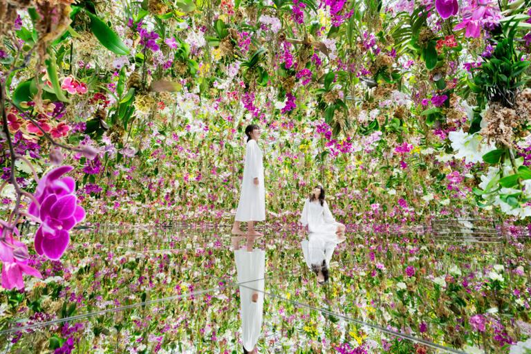 teamLab Planets TOKYO: Inträdesbiljett