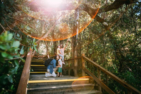 Bariloche: Arrayanes Forest and Victoria Island Tour Bosques de Arrayanes Tour with transfers