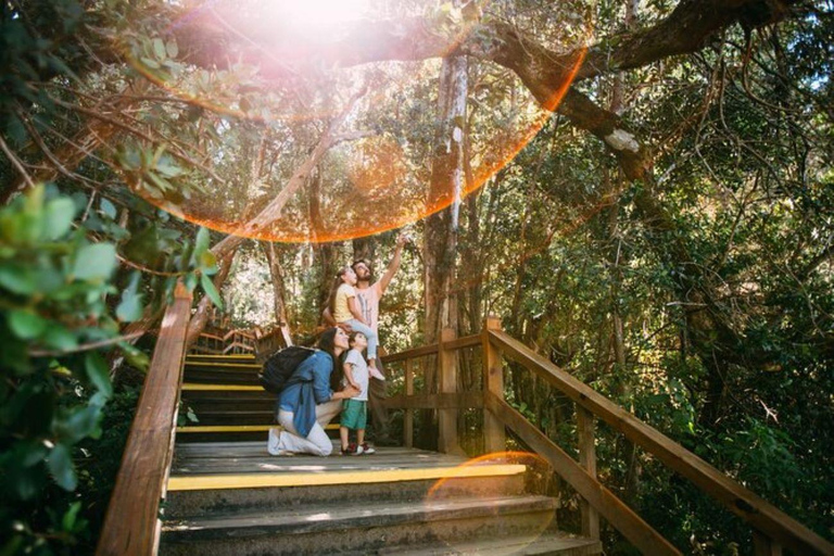 Bariloche: Arrayanes Forest and Victoria Island Tour Bosques de Arrayanes Tour with transfers