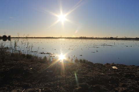 Ebro Delta: Lagoons of the Southern Delta Guided Tour
