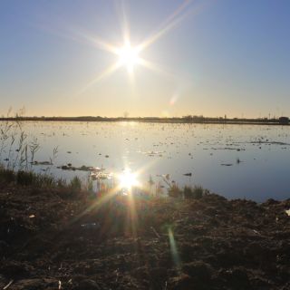 Ebro Delta: Lagoons of the Southern Delta Guided Tour