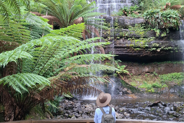 Mt Field Shore Excursion