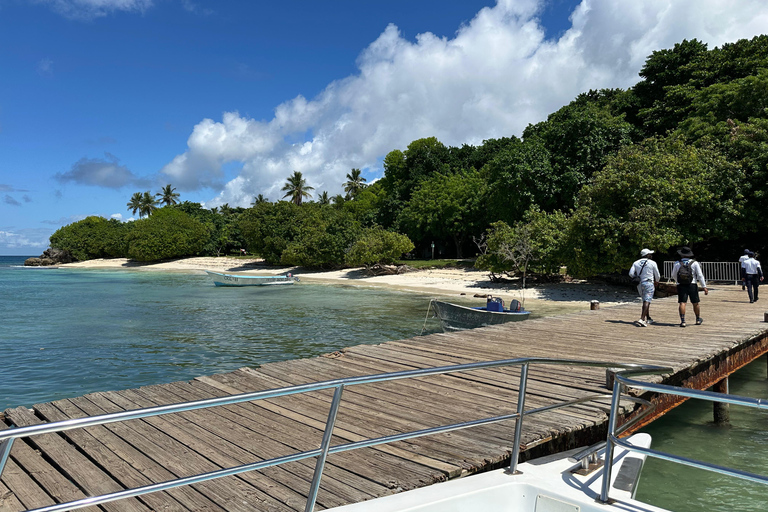 Rincon Beach och Cayo Levantado från Punta Cana