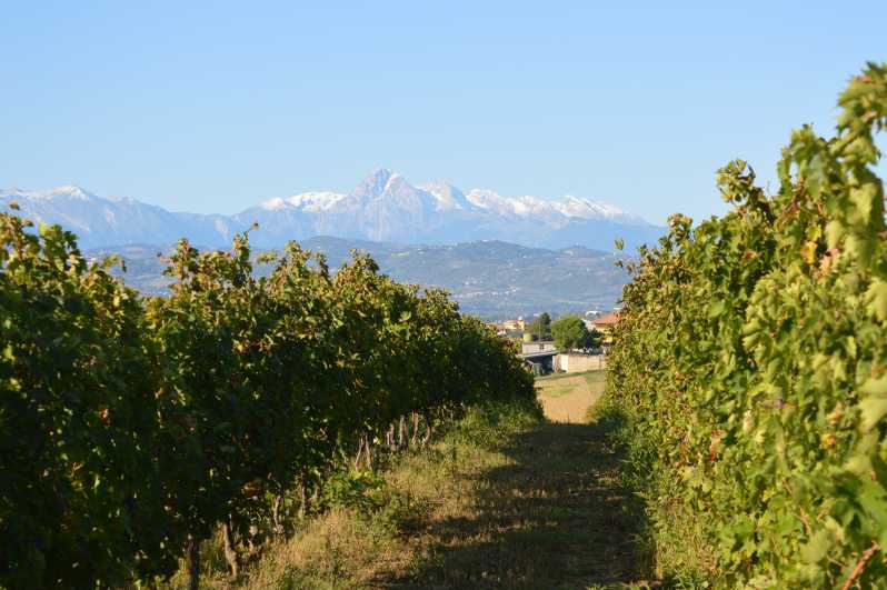 Abruzzo: Cantina Storica Wine Tour e Degustazione