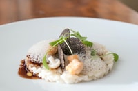 San Miniato, caccia al tartufo nella campagna toscana - Housity