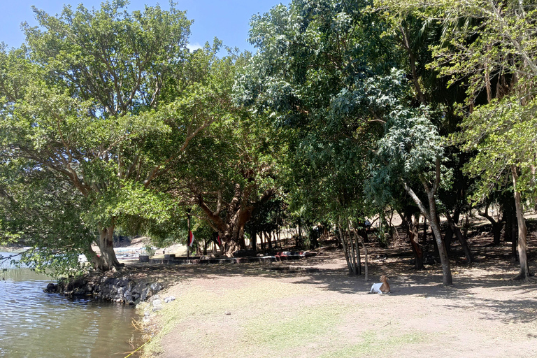 Addis Abeba: Debre Zeit Tagestour mit Besuch des Bishoftu-Sees