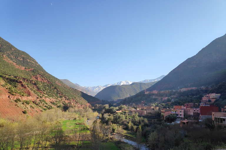 Vanuit Marrakesh: dagexcursie Ourika-vallei & AtlasgebergteDagtour door Ourika-vallei en Atlasgebergte