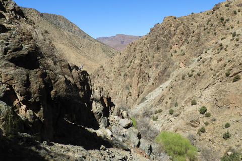 Vanuit Marrakesh: dagexcursie Ourika-vallei & AtlasgebergteDagtour door Ourika-vallei en Atlasgebergte