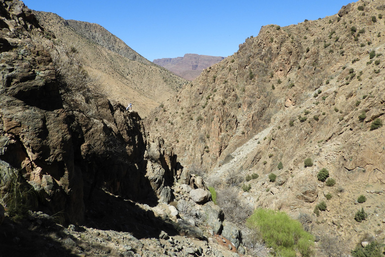 Vanuit Marrakesh: dagexcursie Ourika-vallei & AtlasgebergteDagtour door Ourika-vallei en Atlasgebergte