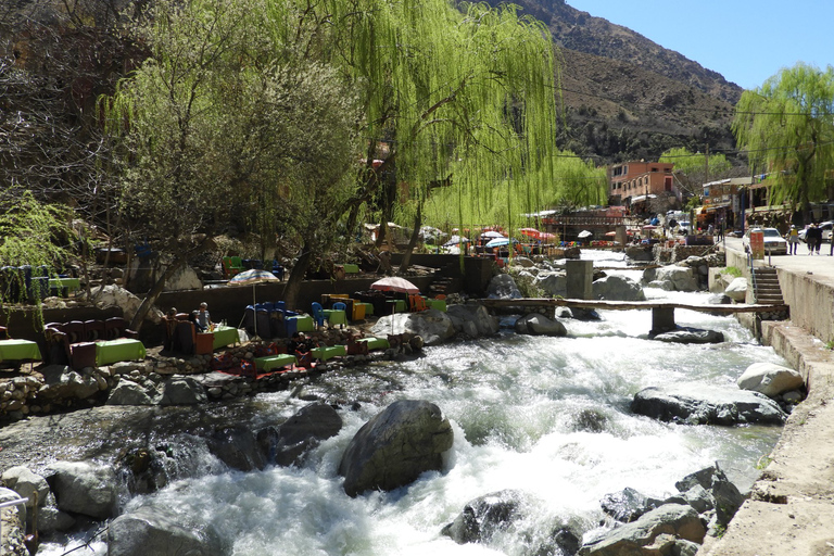 Vanuit Marrakesh: dagexcursie Ourika-vallei & AtlasgebergteDagtour door Ourika-vallei en Atlasgebergte