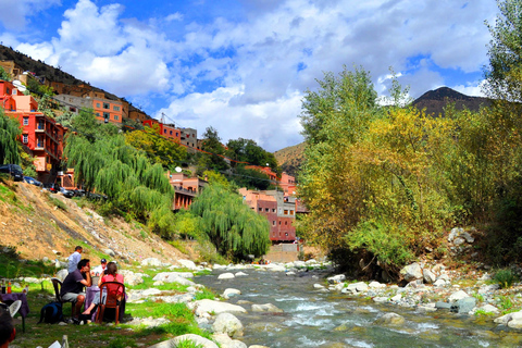 Vanuit Marrakesh: dagexcursie Ourika-vallei & AtlasgebergteDagtour door Ourika-vallei en Atlasgebergte