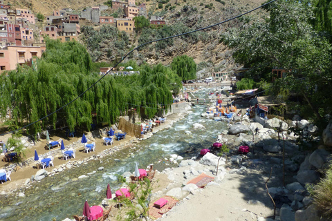 Vanuit Marrakesh: dagexcursie Ourika-vallei & AtlasgebergteDagtour door Ourika-vallei en Atlasgebergte