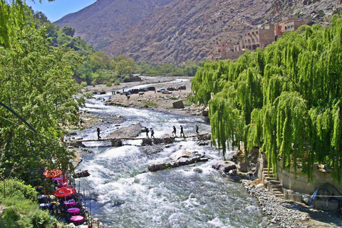 Vanuit Marrakesh: dagexcursie Ourika-vallei & AtlasgebergteDagtour door Ourika-vallei en Atlasgebergte