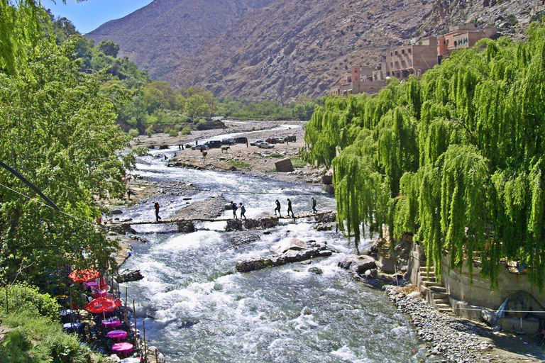 Vanuit Marrakesh: dagexcursie Ourika-vallei & AtlasgebergteDagtour door Ourika-vallei en Atlasgebergte