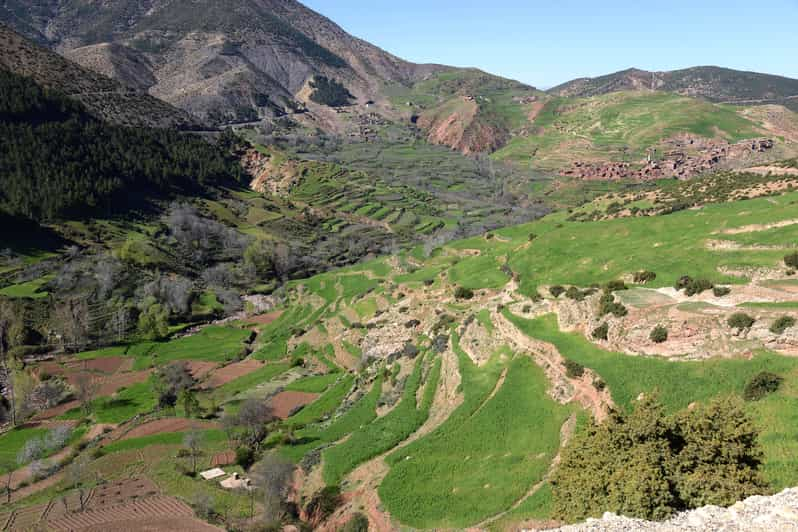 Ab Marrakesch Ourika Tal Atlasgebirge Tagestour Getyourguide