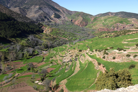 Vanuit Marrakesh: dagexcursie Ourika-vallei & AtlasgebergteDagtour door Ourika-vallei en Atlasgebergte