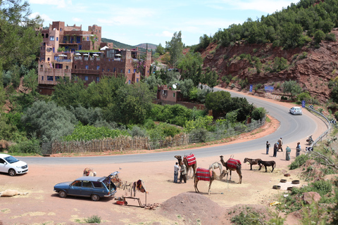 Vanuit Marrakesh: dagexcursie Ourika-vallei & AtlasgebergteDagtour door Ourika-vallei en Atlasgebergte