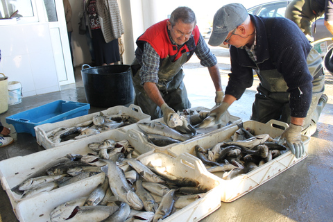 Ebro Delta: Northern Delta Guided Tour with a Local