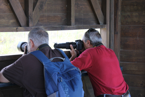 Ebro Delta: Northern Delta Guided Tour with a Local