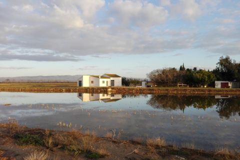 Delta dell'Ebro: tour guidato del delta settentrionale con un locale