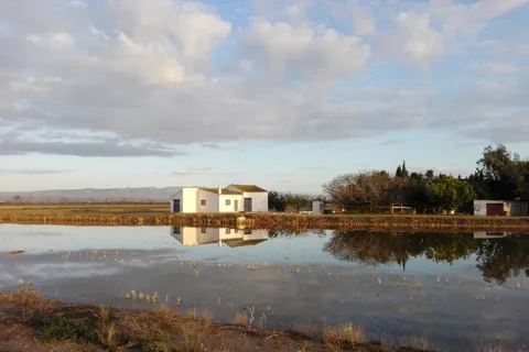 Ebro-Delta: Geführte Tour durch das Norddelta mit einem lokalen Guide