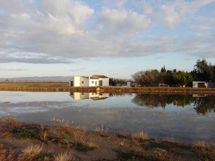 Ebro Delta: Wycieczka z przewodnikiem po Północnej Delcie z miejscowym