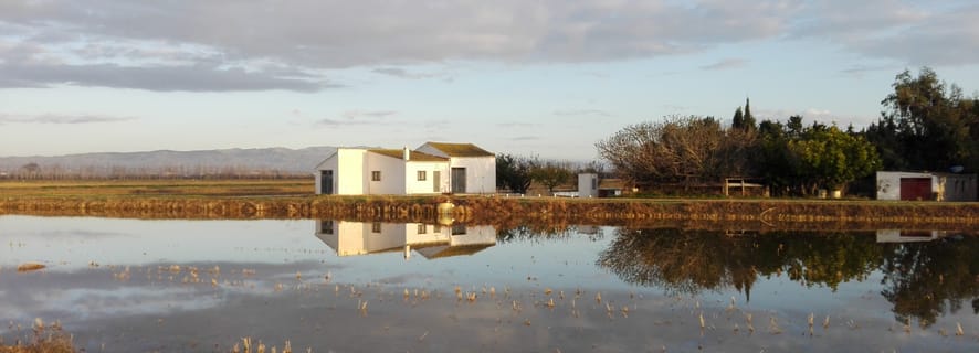 Ebro Delta: Northern Delta Guided Tour with a Local