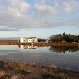 Delta dell'Ebro: tour guidato del delta settentrionale con un locale
