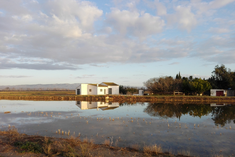 Ebro Delta: Northern Delta Guided Tour with a Local