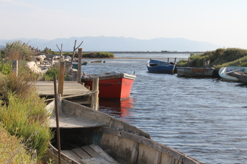 Ebro Delta: Northern Delta Guided Tour with a Local