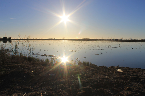 Ebro Delta: Northern Delta Guided Tour with a Local