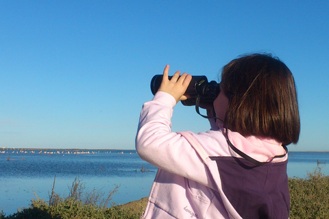 Ebro Delta: Northern Delta Guided Tour with a Local