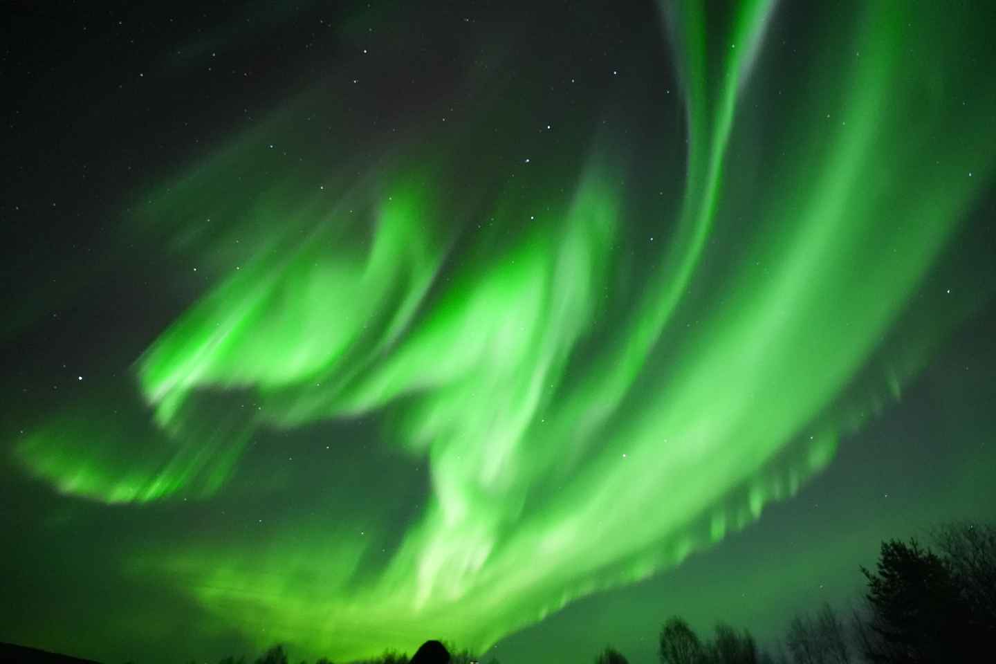 Rovaniemi: Guaranteed Aurora Hunting Tour with Photos&Videos