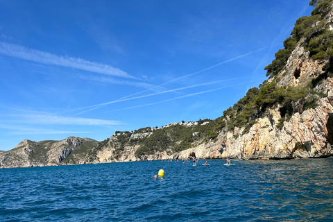 Tavole da Paddle Surf