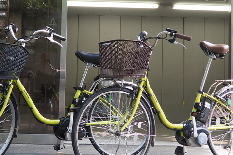 E-Bike Tour in Kyoto with Asuka, Japanese graduate student