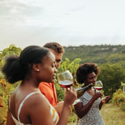Bali: Winery Tour & Taste