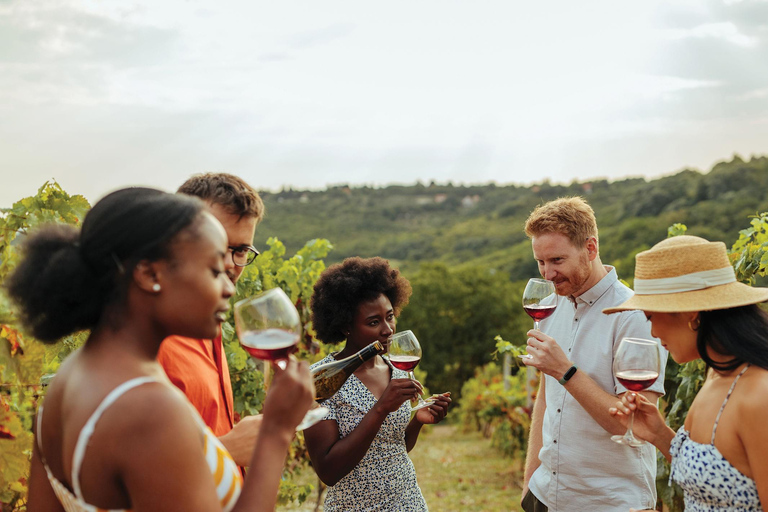 Khor Virap and Noravank with Tushpa and Momik Wine Tastings