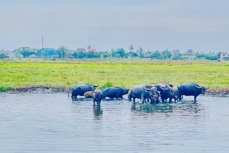 Hoi An: Countryside Bicycle Tour with Farm, Basket Boat Ride