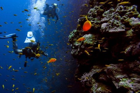 Antalya: Two Guided Dives for all Skill Levels