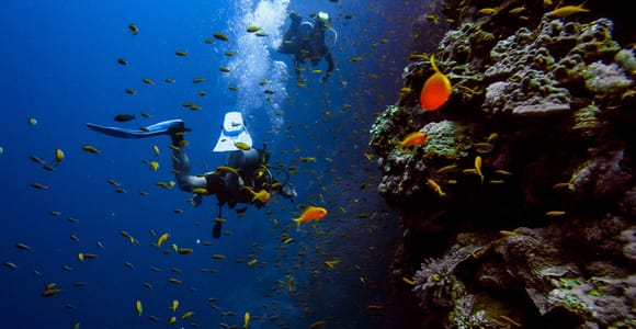 Scuba Diving Tour with Transfer From Alanya and city of Side