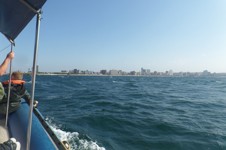 Durban: crucero de 1 hora en barco desde Wilson's Wharf