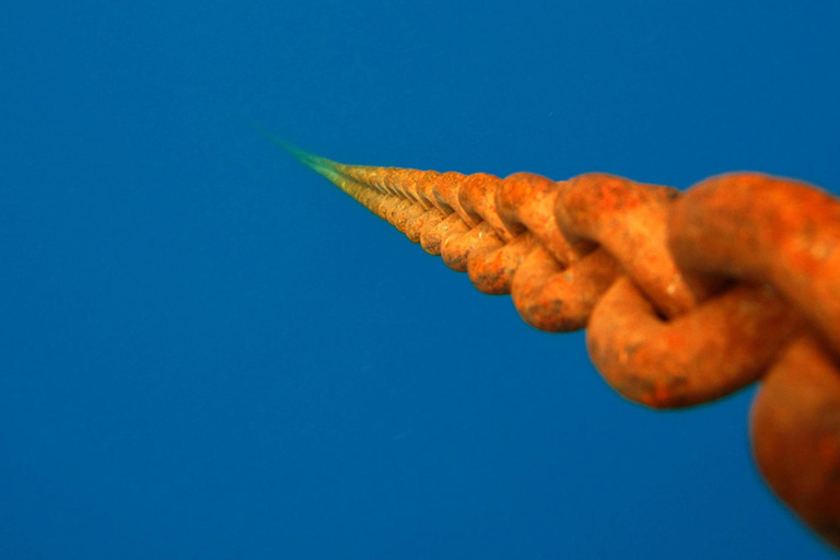 Wycieczka nurkowa z transferem z Alanyi i miasta SideTransfer z hoteli w Alanyi i mieście Side