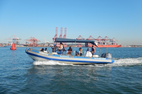 Durban: 1-Hour Boat Cruise from Wilson's Wharf