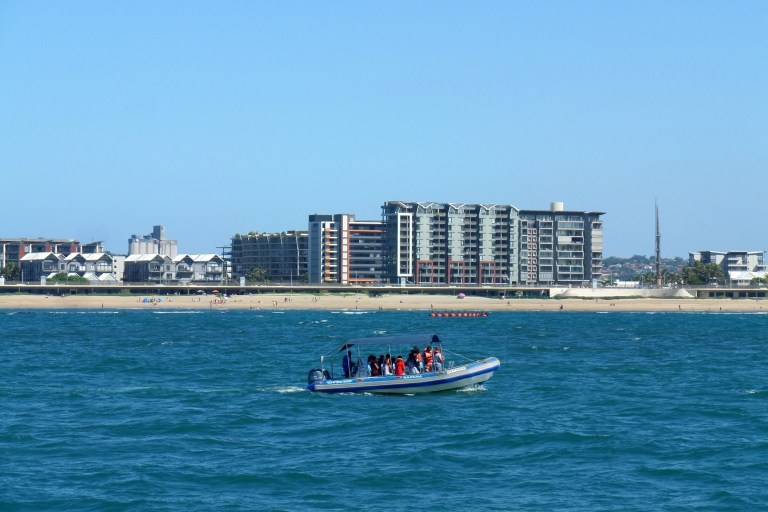 Durban: crucero de 1 hora en barco desde Wilson's Wharf